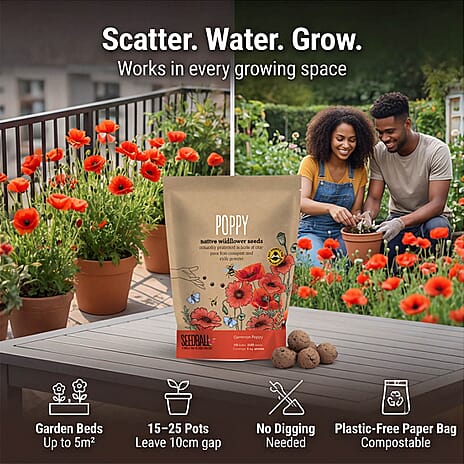 Seedball Poppy Mix 100-Ball Wildflower Grab Bag - Red