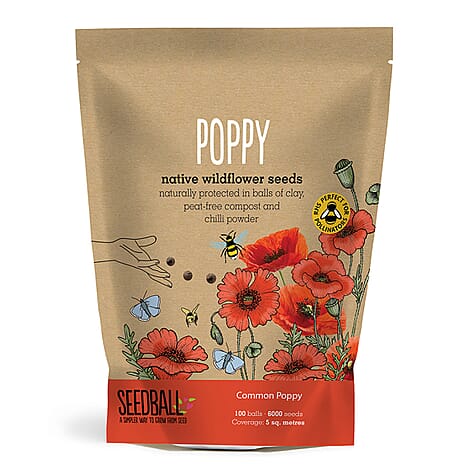 Seedball Poppy Mix 100-Ball Wildflower Grab Bag - Red