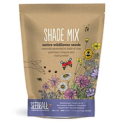 Seedball Wildflower Seed Balls Grab Bag - 100 Balls