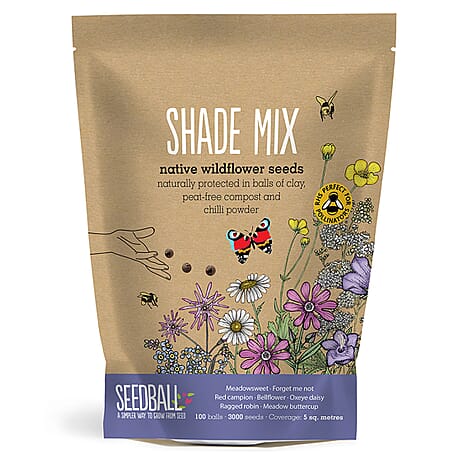 Seedball Shade Mix 100-Ball Wildflower Grab Bag - Violet