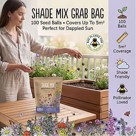 Seedball Shade Mix 100-Ball Wildflower Grab Bag - Violet