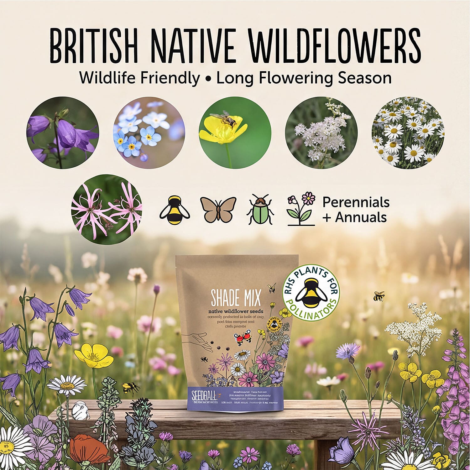 Seedball Shade Mix 100-Ball Wildflower Grab Bag - Violet