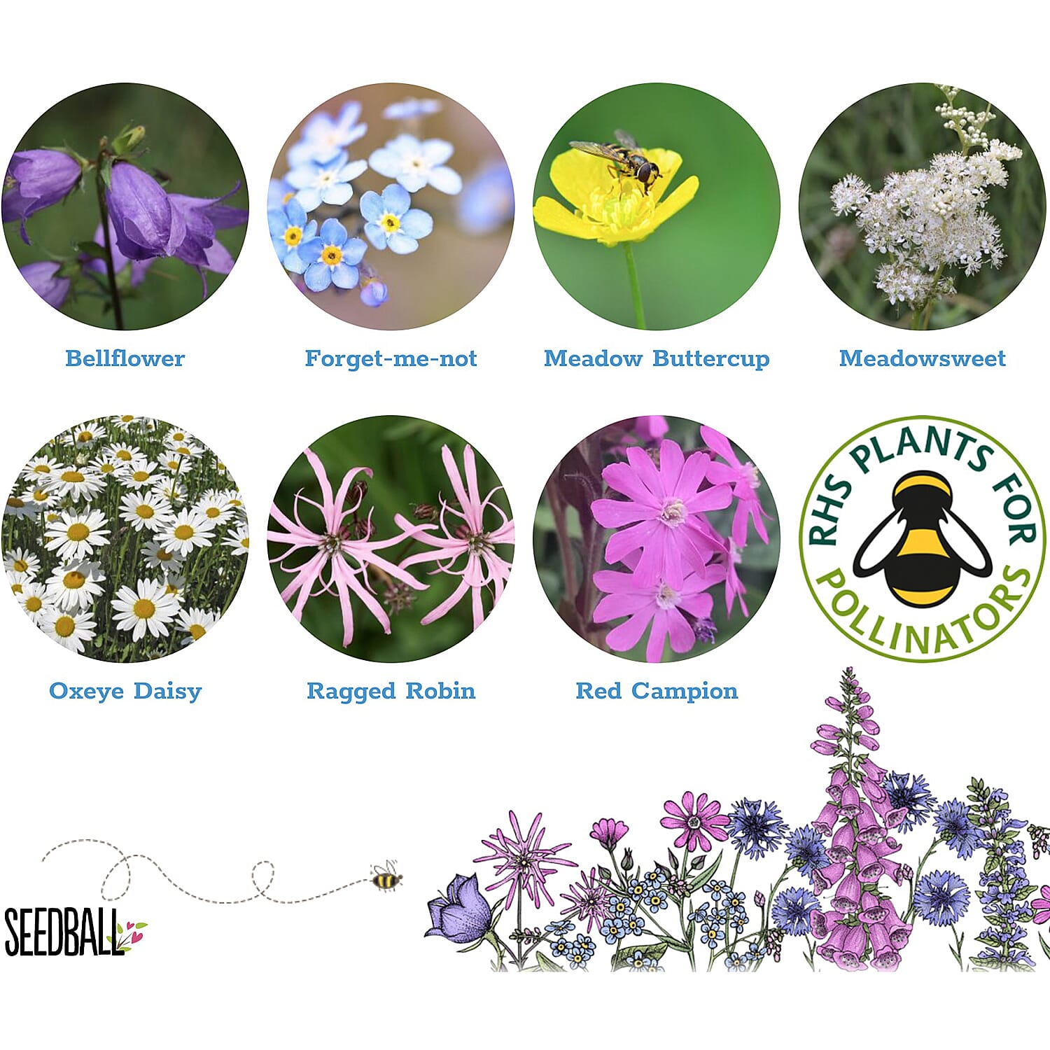 Seedball Shade Mix 100-Ball Wildflower Grab Bag - Violet