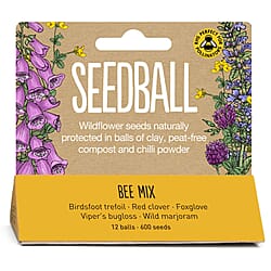 Seedball Bee Mix 12-Ball Wildflower Hanging Pack - Yellow