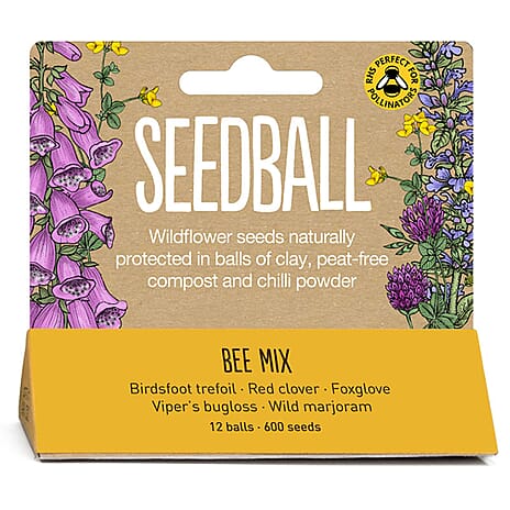 Seedball Bee Mix 12-Ball Wildflower Hanging Pack - Yellow