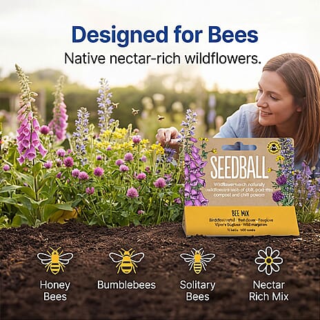Seedball Bee Mix 12-Ball Wildflower Hanging Pack - Yellow