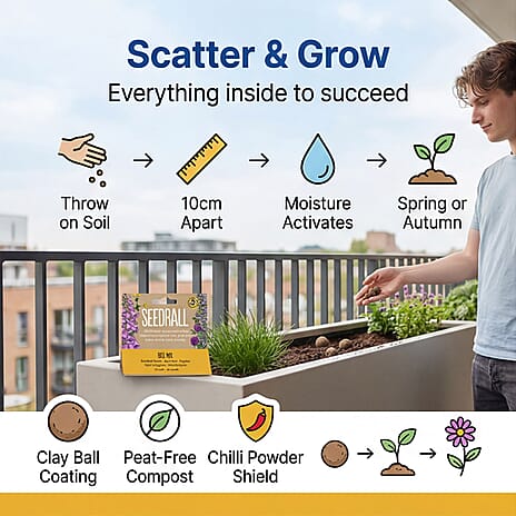 Seedball Bee Mix 12-Ball Wildflower Hanging Pack - Yellow