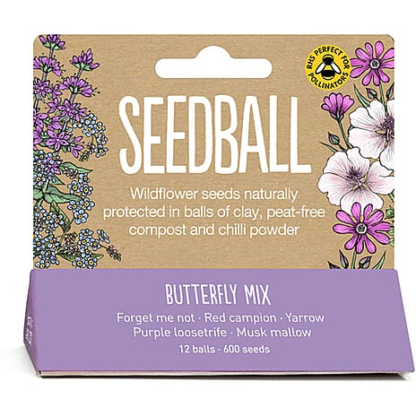 Seedball Bee Mix 12-Ball Wildflower Hanging Pack - Purple