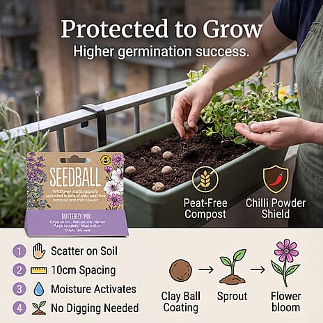 Seedball Bee Mix 12-Ball Wildflower Hanging Pack - Purple