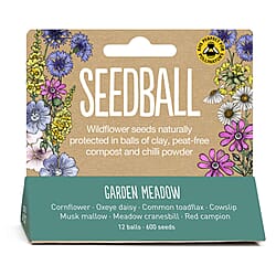 Seedball Bee Mix 12-Ball Wildflower Hanging Pack - Yellow