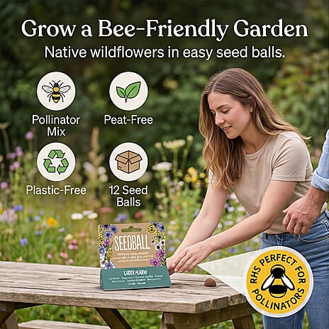 Seedball Bee Mix 12-Ball Wildflower Hanging Pack - Green