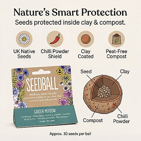 Seedball Bee Mix 12-Ball Wildflower Hanging Pack - Green