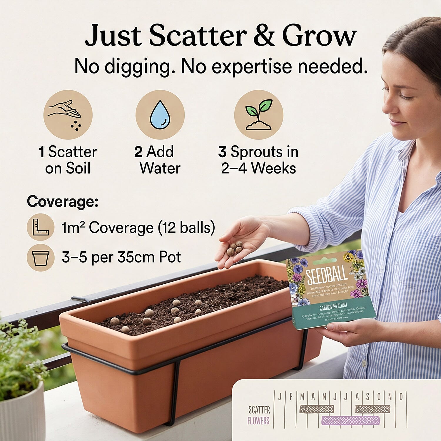 Seedball Bee Mix 12-Ball Wildflower Hanging Pack - Green