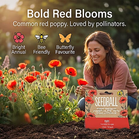 Seedball Bee Mix 12-Ball Wildflower Hanging Pack - Red