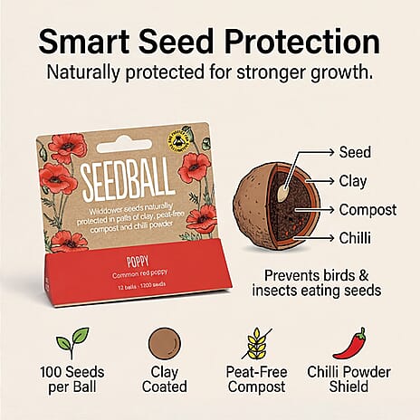 Seedball Bee Mix 12-Ball Wildflower Hanging Pack - Red
