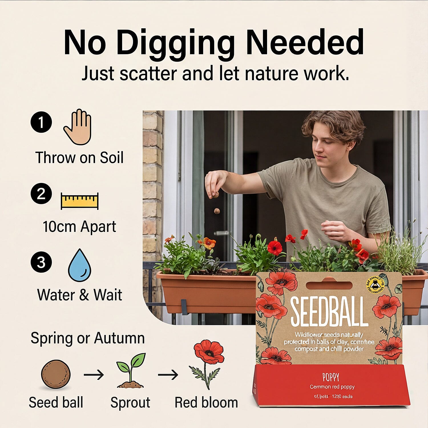 Seedball Bee Mix 12-Ball Wildflower Hanging Pack - Red