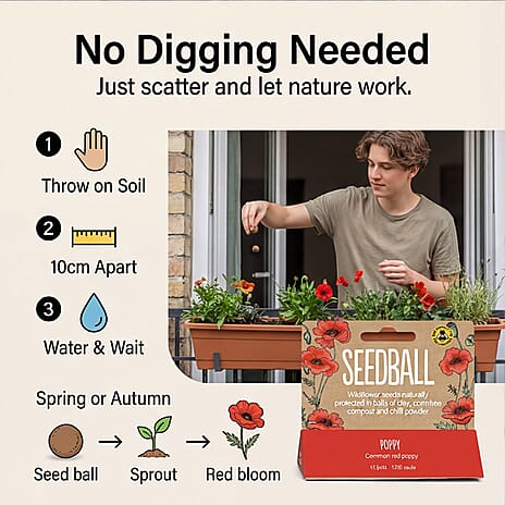 Seedball Bee Mix 12-Ball Wildflower Hanging Pack - Red