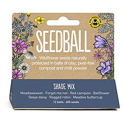 Seedball Bee Mix 12-Ball Wildflower Hanging Pack - Yellow