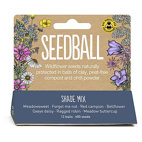 Seedball Bee Mix 12-Ball Wildflower Hanging Pack - Violet