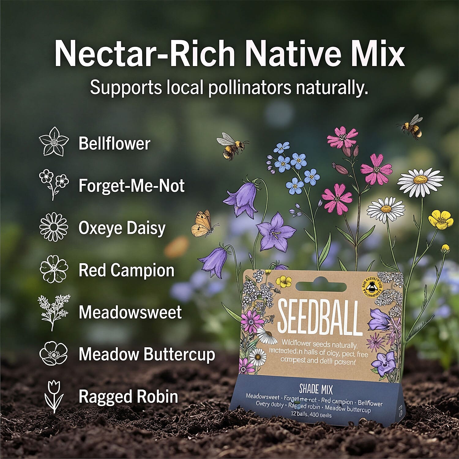 Seedball Bee Mix 12-Ball Wildflower Hanging Pack - Violet