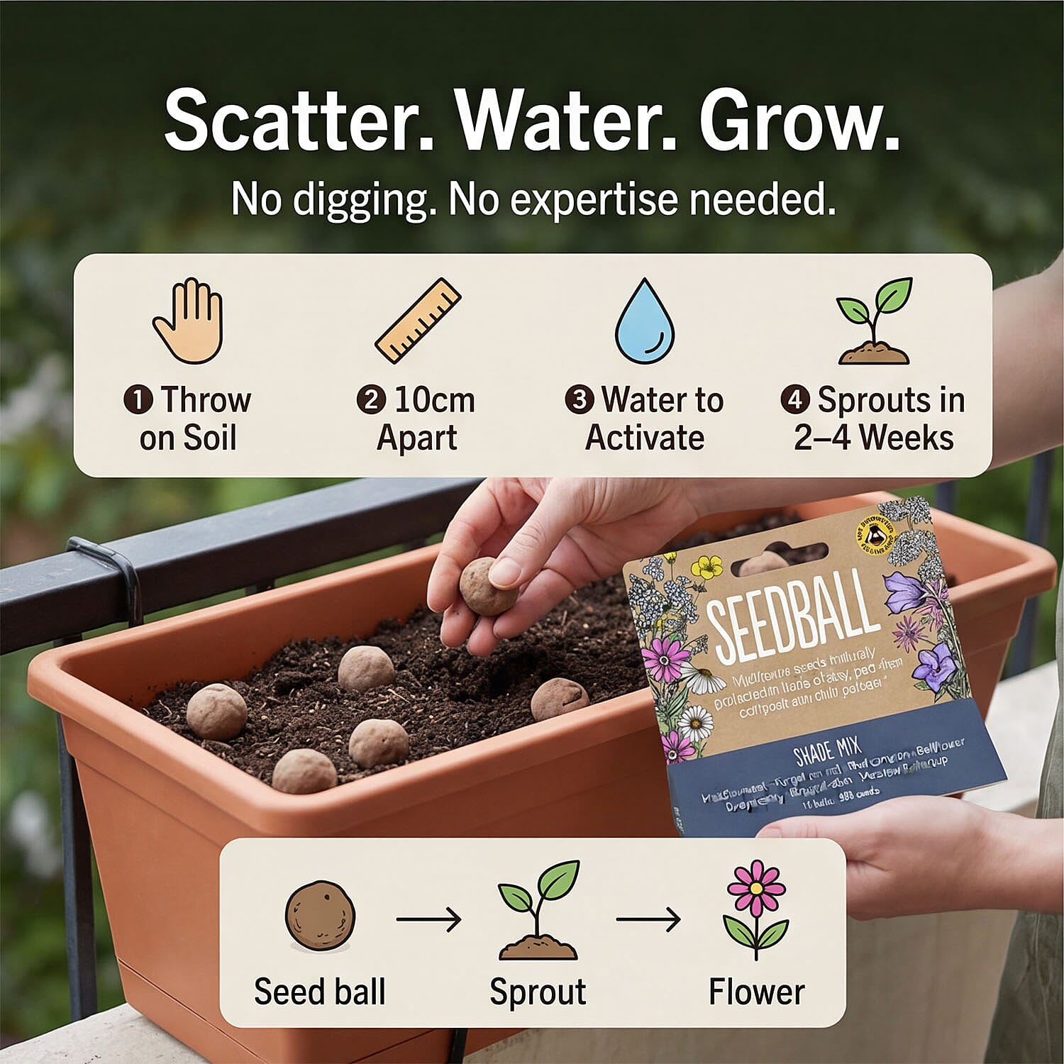 Seedball Bee Mix 12-Ball Wildflower Hanging Pack - Violet