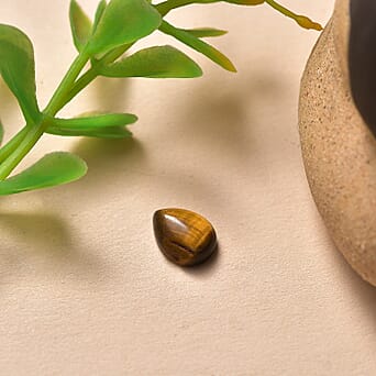 https://tjcuk.sirv.com/Products/85/1/8511585/Tigers-Eye-Pear-8X6-mm-Gemstone-1-30-Ct_8511585_1.jpg?w=342&h=342
