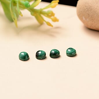 https://tjcuk.sirv.com/Products/85/1/8511608/Set-Of-4-Malachite-Round-4-25-mm-Gemstone-1-60-Ct_8511608_1.jpg?w=342&h=342