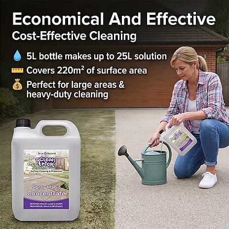The Clean Trick Spray - Leave 1 x 5L Concentrated Outdoor Cleaner