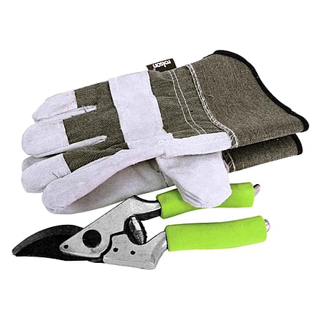 Heavy Duty Rigger Gloves & Secateur