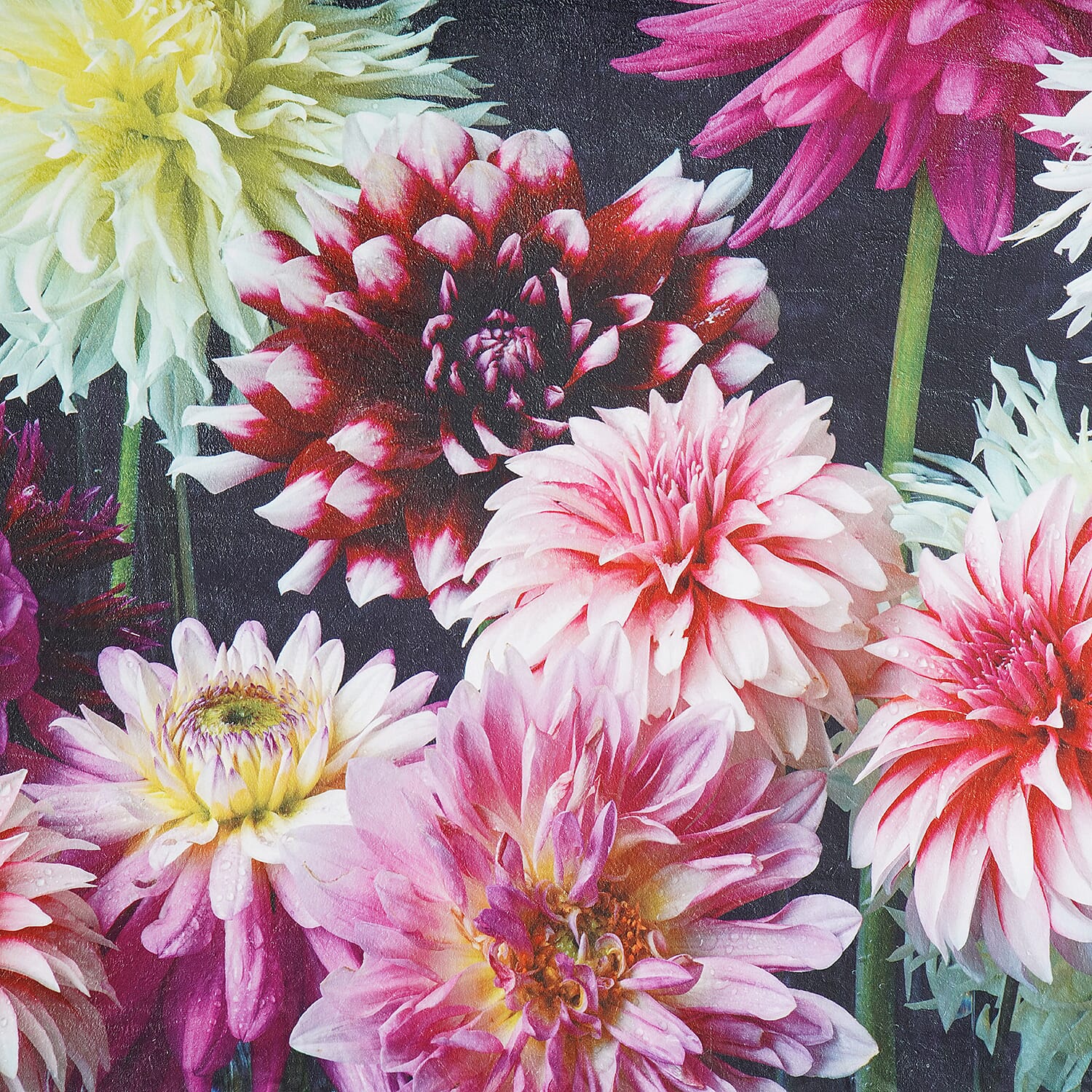 LIVMORE Single-Sided Digital Print Flannel Blanket (150x200cm) - Dahlias