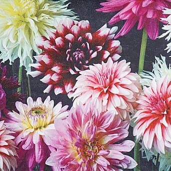 https://tjcuk.sirv.com/Products/85/2/8528115/LIVMORE-Patterned-Blanket-Size-150x1-cm-Multi-Color_8528115_1.jpg?w=342&h=342