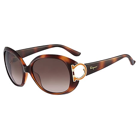 Salvatore Ferragamo Ladies Oval Havana Sunglasses With Ferragmo Logo Temple