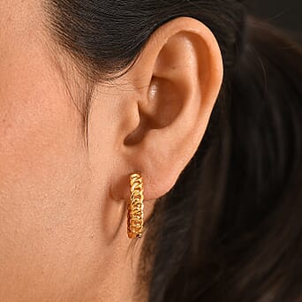 https://tjcuk.sirv.com/Products/85/3/8537054/EverTrue-Full-Hoop-Earring-in-Yellow-Gold-Tone_8537054_1.jpg?w=342&h=342
