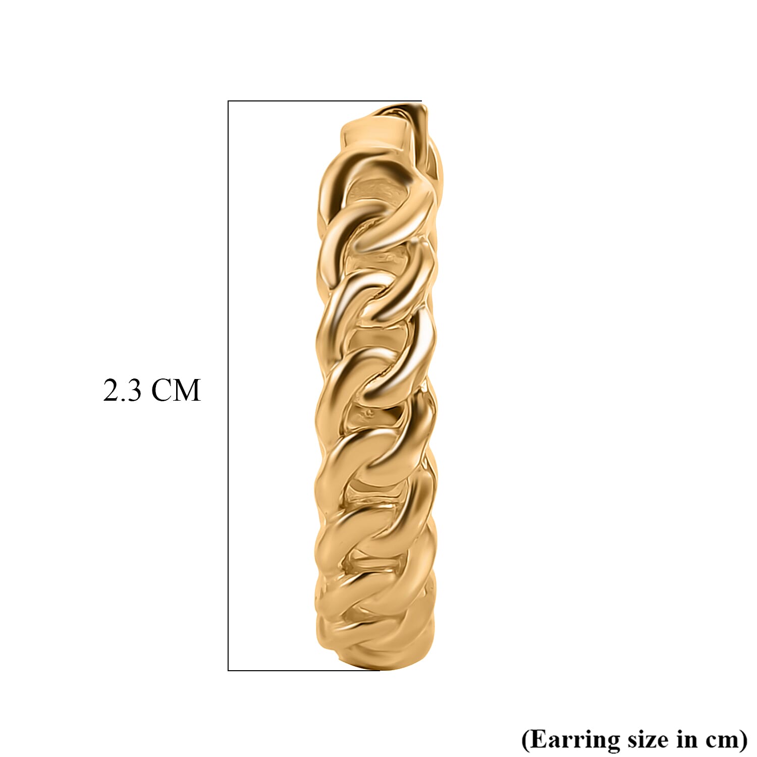 EverTrue - Full Hoop Earring in Yellow Gold Tone