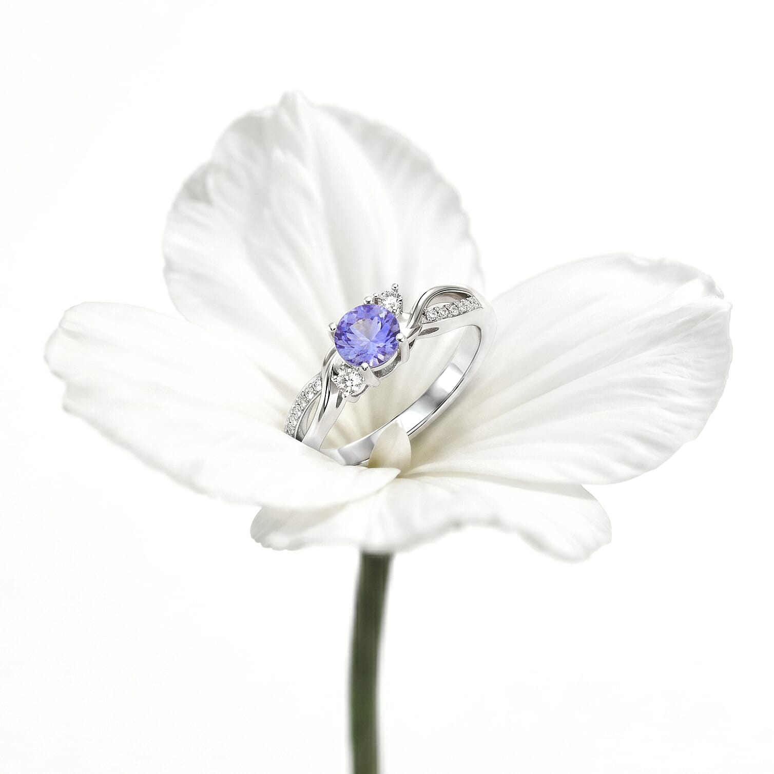 D'Joy Tanzanite, Moissanite Ring in Sterling Silver