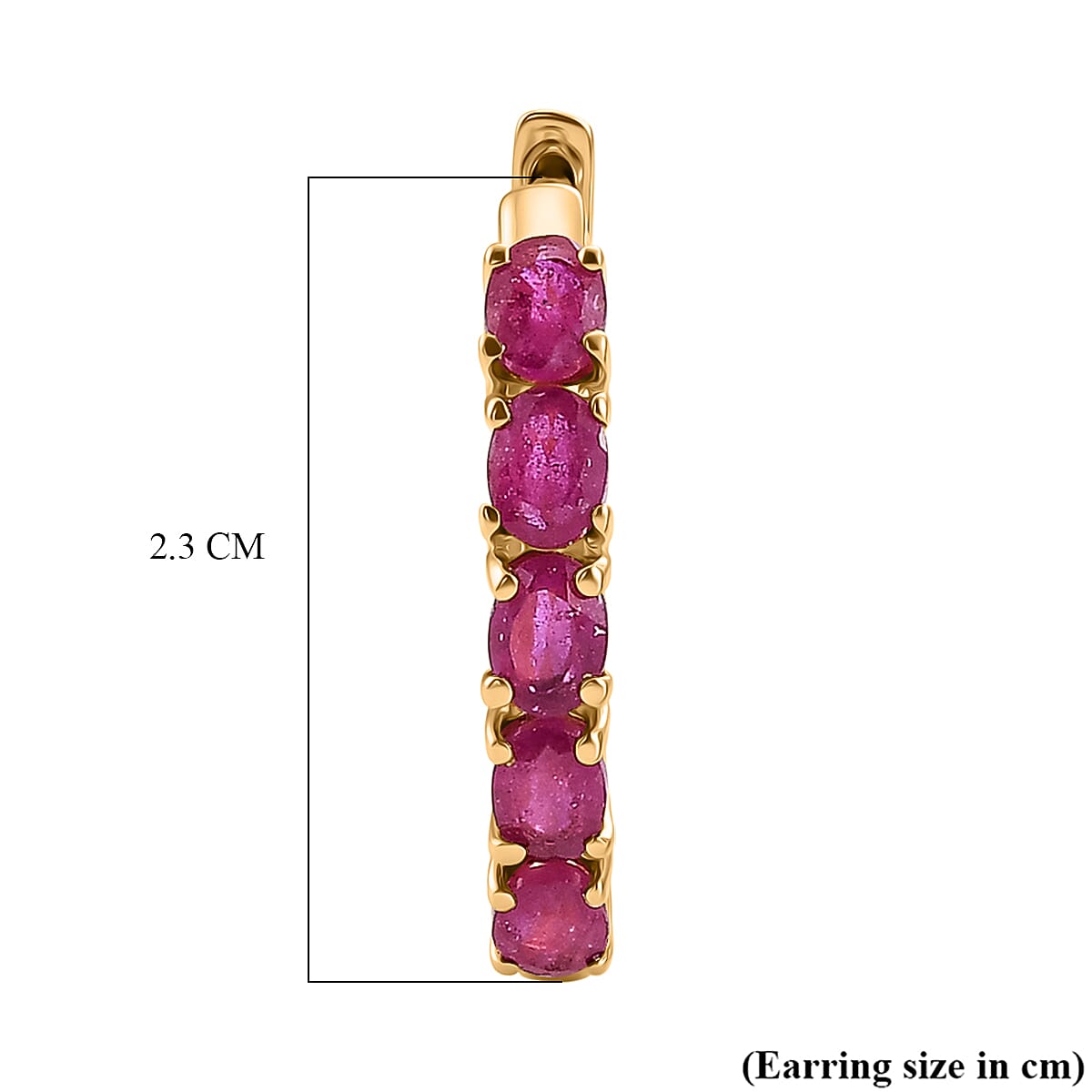 EverTrue - African Ruby Hoop Earring in Yellow Gold Tone 2.80 Ct.