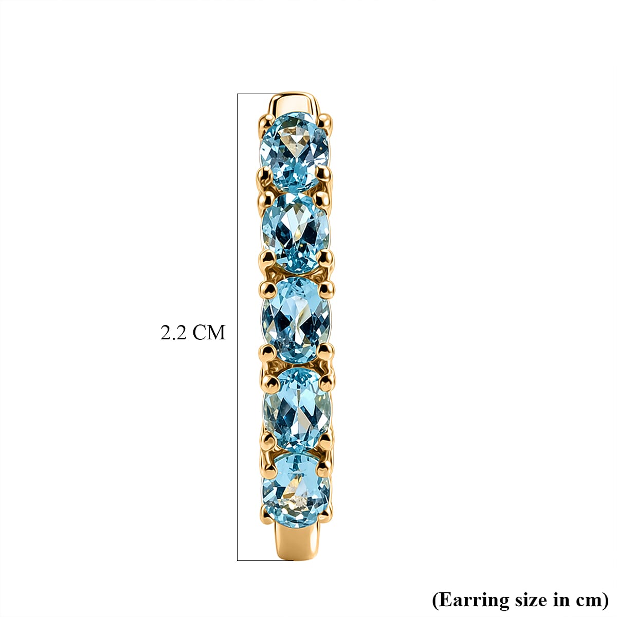 EverTrue - Blue Apatite Hoop Earring in Yellow Gold Tone 2.20 Ct.
