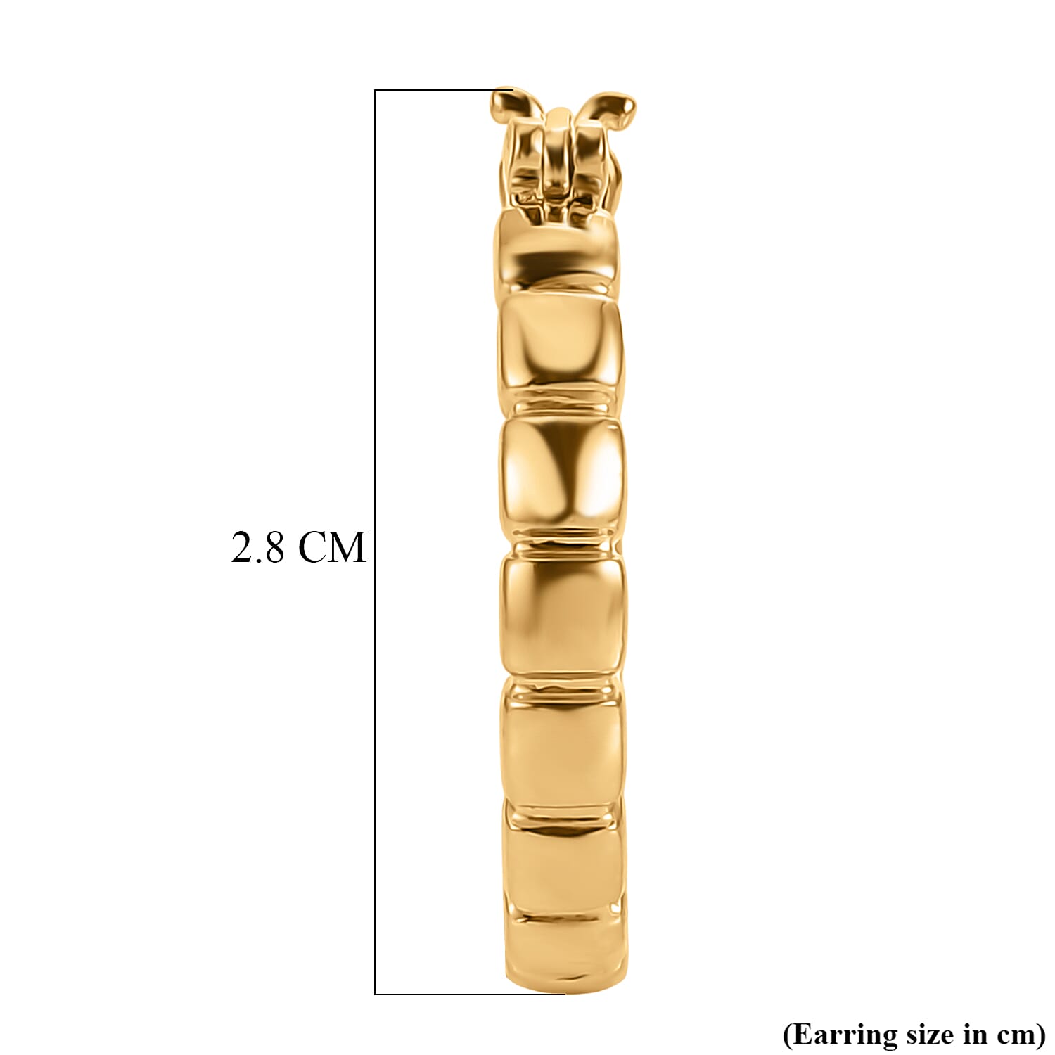 Bronzella Collection - EverTrue Full Hoop Earring with Clasp in 18K Gold Plating