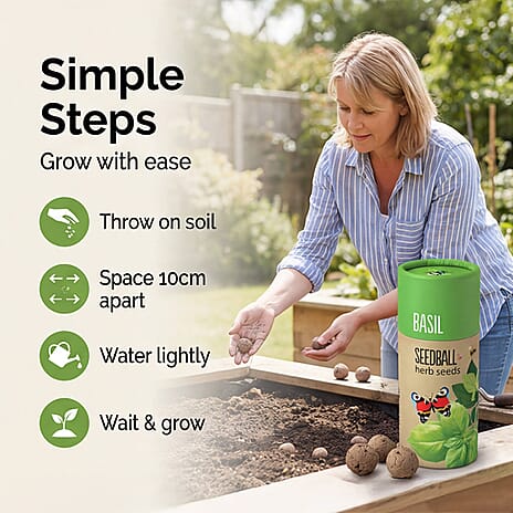 Basil Seed Ball Tube