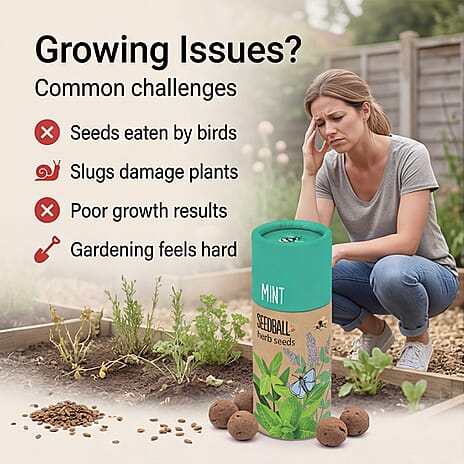 Mint Seed Ball Tube