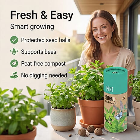 Mint Seed Ball Tube
