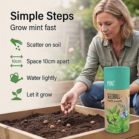 Mint Seed Ball Tube