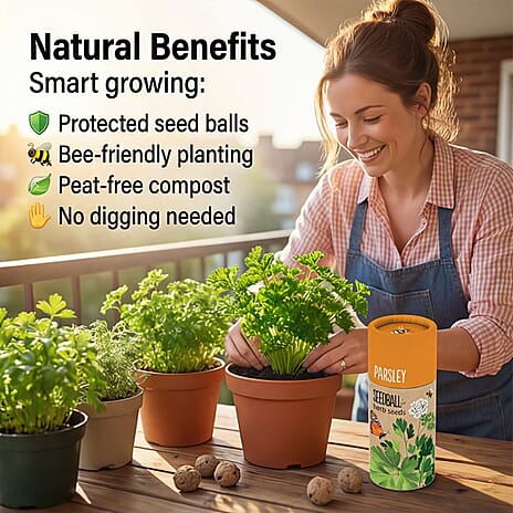 Parsley Seed Ball Tube