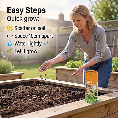 Parsley Seed Ball Tube