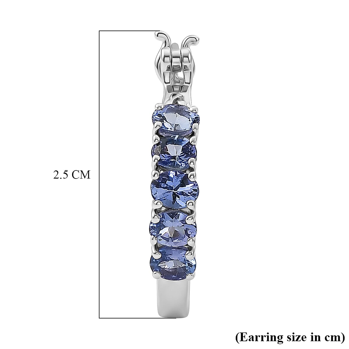 D'Joy - Tanzanite Hoop Earring with Clasp in Rhodium Overlay Sterling Silver 2.00 Ct.