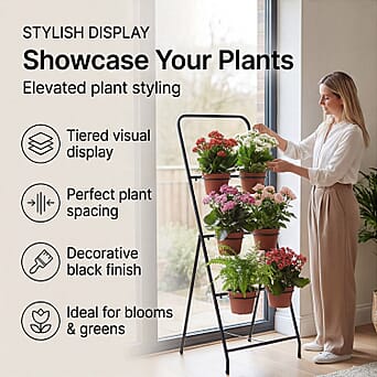 https://tjcuk.sirv.com/Products/85/7/8575019/8575019_3.jpg?w=342&h=342
