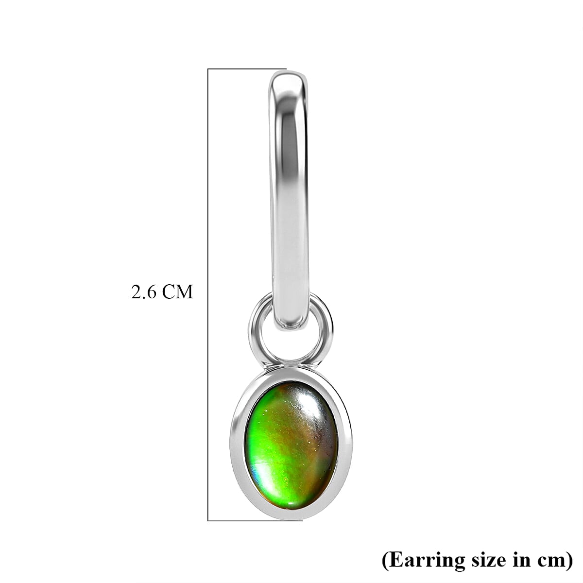 D'Joy - Ammolite Hoop Earring in Rhodium Overlay Sterling Silver 1.70 Ct.