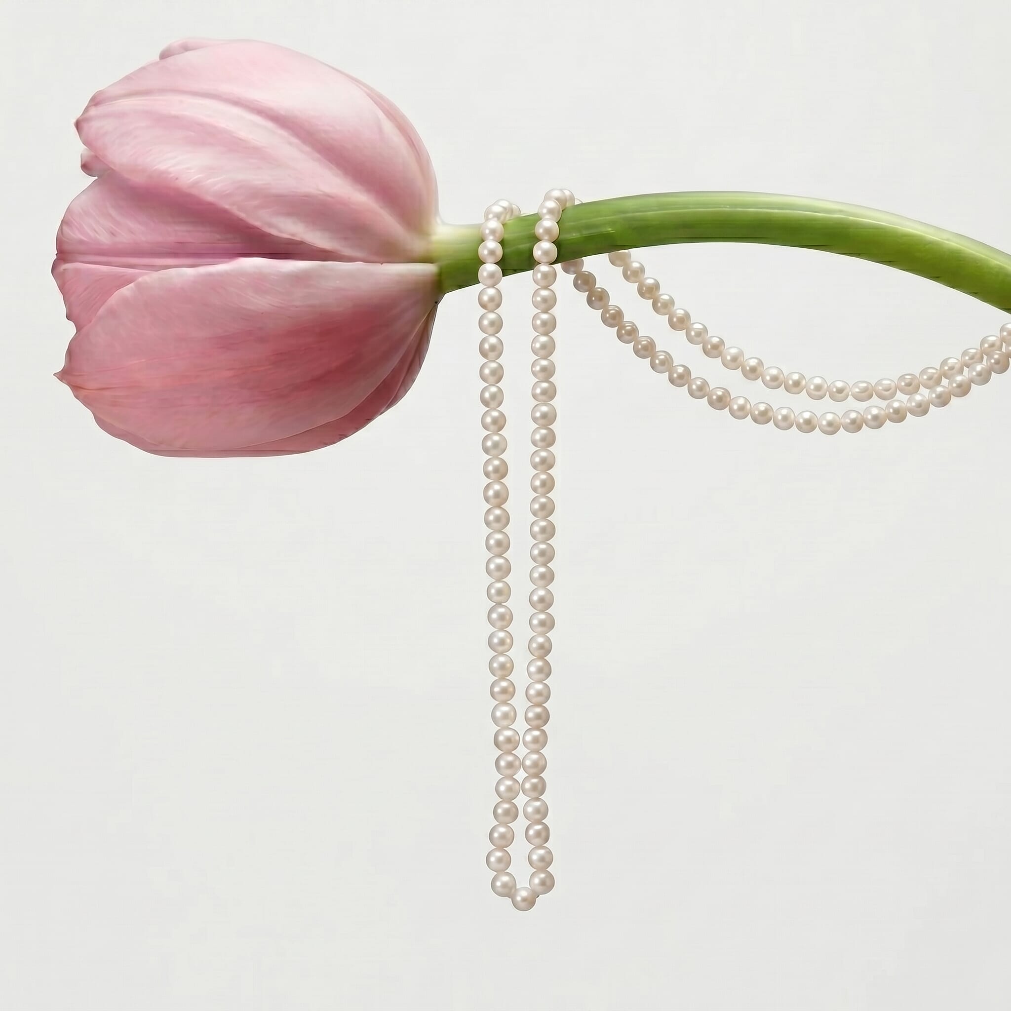 White Fresh Water Pearl Adjustable Necklace (Size - 18-2 Ext) 57.00 Ct.