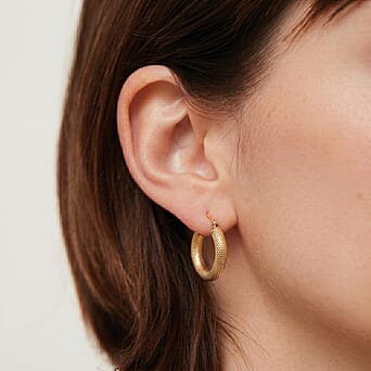 https://tjcuk.sirv.com/Products/85/9/8593466/9K-Yellow-Gold-Earring-with-Clasp_8593466_2.jpg?w=342&h=342