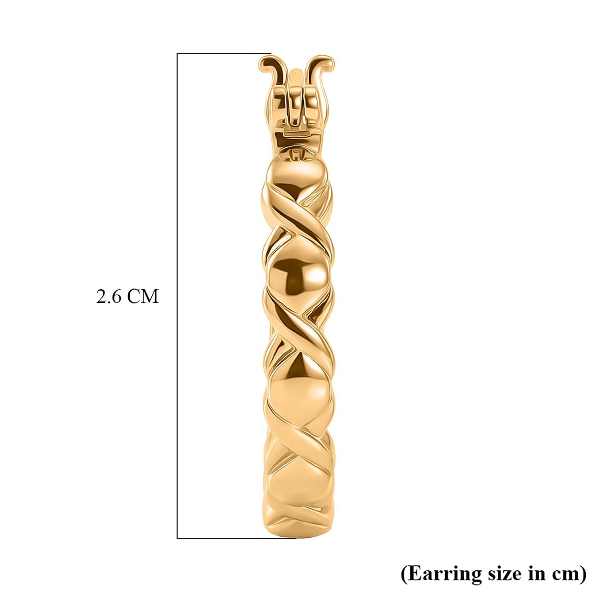 EverTrue Bronzella Collection - Full Hoop Earring with Clasp in 18K Gold Plating